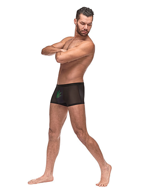 Private Screening Micro Mesh & Modal Pot Leaf Black XL