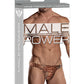 Male Power Wonder Thong Animal Print L/XL